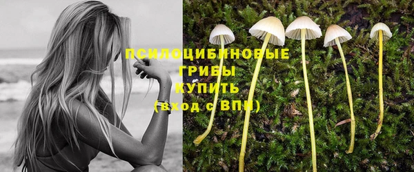 крисы Волосово